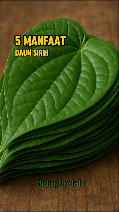 5 Manfaat Daun Sirih #hidupindah