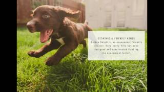 Cmm Groups It Is All New North Bangalore 3Bhk Villa 33 Laks For Limited Members