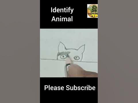 Identify Animal Simple sketch 💐 #shorts #shortsvideo #viralvideo #viral