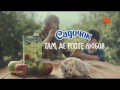 Реклама сока Садочок QTV февраль 2017