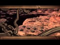 shadow and bone book trailer
