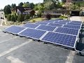 Stand Light Solar Plant Post