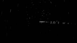 bear panda couple bubu x dudu cute #shorts #fyp #cute #love