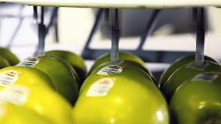 Apple Labeling Machine - HP MJF 4200