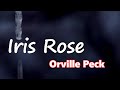 Orville Peck Iris Rose Lyrics mp3