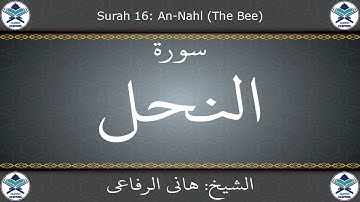 القرآن الكريم بصوت هاني الرفاعي - سورة النحل