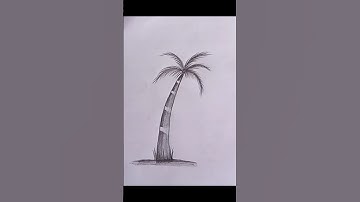 how to draw palm tree🌴#shorts #youtubeshorts #drawing #art #palm #tree #foryou #reels