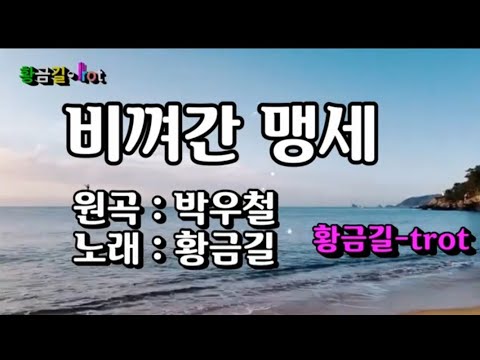 비껴간 맹세 - 황금길 Cover   (원곡/ 박우철)