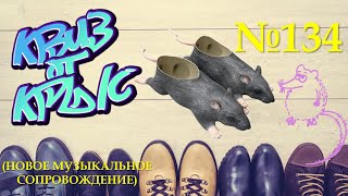 видео: КВИЗ от КРЫС эпизод 134 (новое музыкальное сопровождение) картинка: КВИЗ от КРЫС эпизод 134 (новое музыкальное сопровождение)