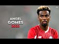 Angel gomes 2023  crazy skills assists  goals  lille 