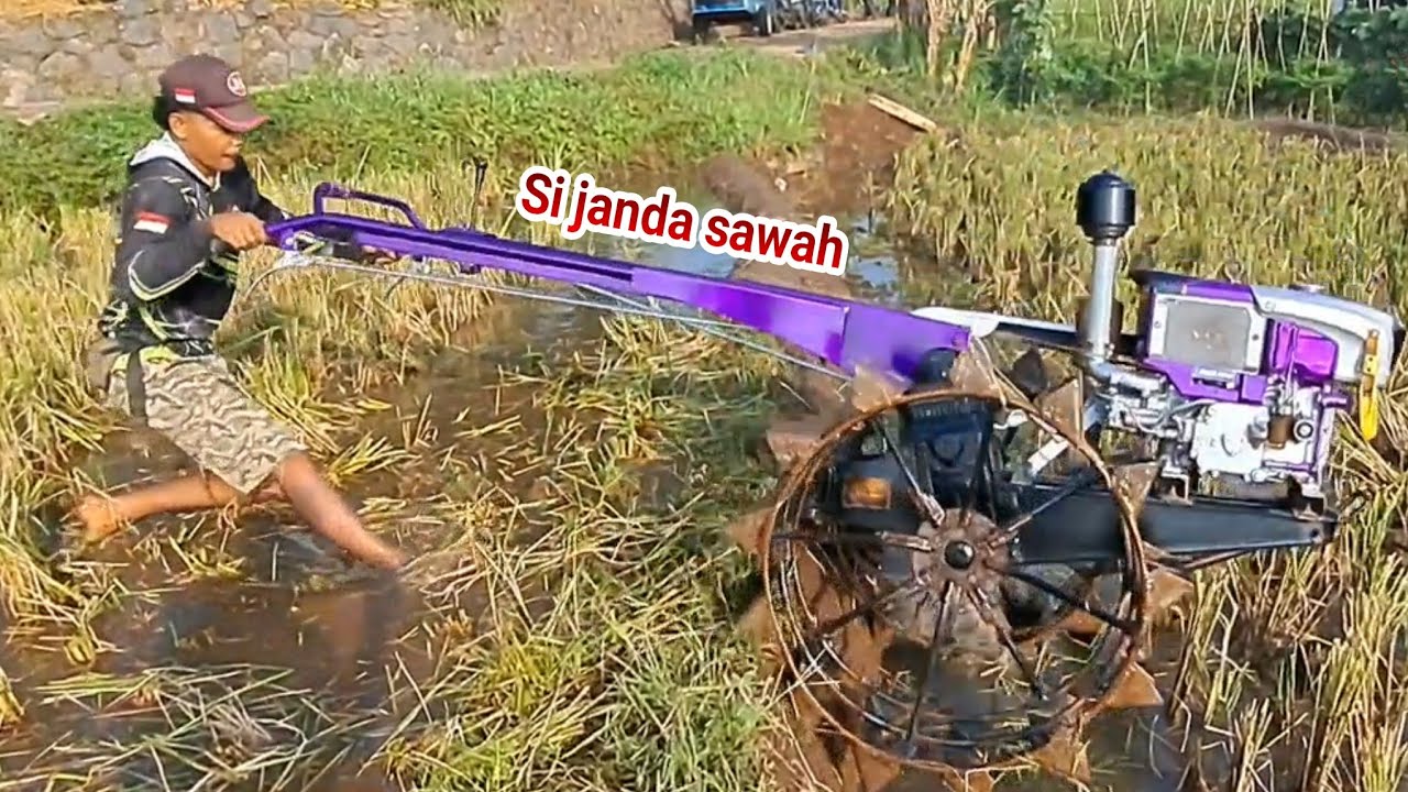 Pertama turun si janda sawah takut kotor