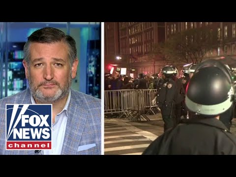 Chaos at Columbia: Cruz calls out 'sickness that has taken over our universities'