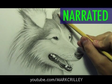 How to Draw a Dog [Narrated Step by Step] - YouTube