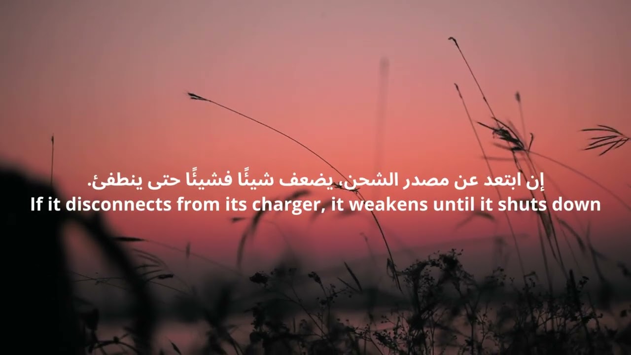 The soul is a gift from Alla ...الروح هى هبه من الله