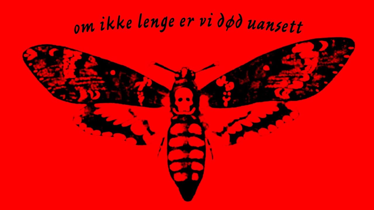 Om Ikke Lenge er vi Død Uansett - dikt + visualizer