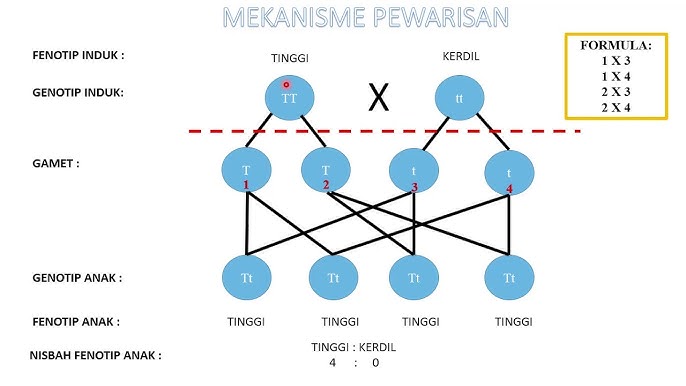 Sains Tingkatan 4 Bab 5  socsterd