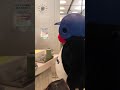 ウェイターつば九郎の水さばき たか～いいちからの、すいぶんほきゅう～