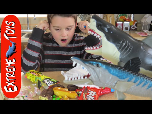 Megalodon Shark Toy Goes Crazy and Eats all the Candy! Shark and Barracuda  Toy 