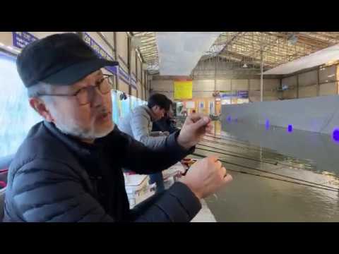 천무현 고문님의 하우스 낚시기법 (명인하우스) #전자찌 #하우스 #통합리그 #편대낚시 #천향