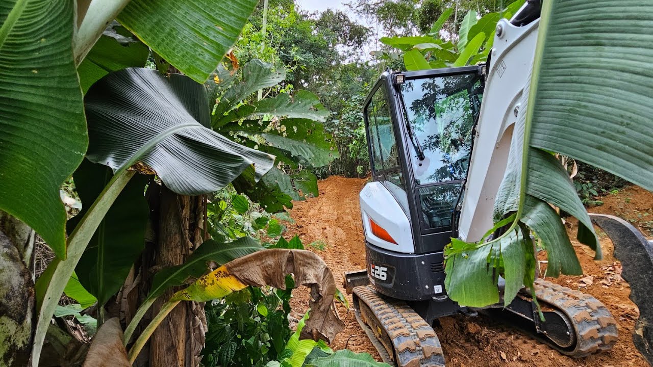 Abrindo estrada no morro/mata com Bobcat e26 Parte 1/2
