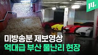 ‘악 내 슈퍼카’ 어쩌라고?..기습 물폭탄으로 부산은 난리 / 14F