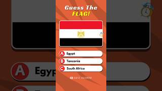 Ultimate Flag Quiz (Ep. 03) #flagquizz #quizdaemon #shorts screenshot 4
