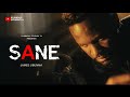 SANE The Silent Battles Of Men James Jibunma Latest Nollywood Short Film 2025 SANE The Silent Battles Of Men James Jibunma Latest Nollywood Short Film 2025