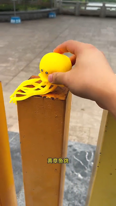 Watch What Happens When the Octopuses Jump… 😳🧠