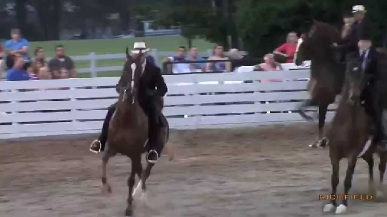 Peri's Charm SS Rock Creek Horse Show 2014 YouTube