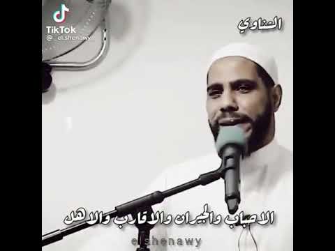 محمود حسنات