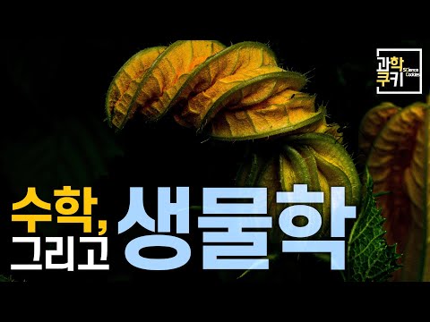 논리의 결정체, &rsquo;수학&rsquo;으로 &rsquo;생물&rsquo;을 연구한다는 것은 무엇을 의미하는걸까?