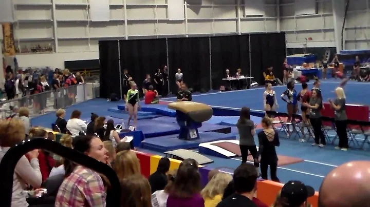 Alexis Sheppard Region 3 Competition Vault