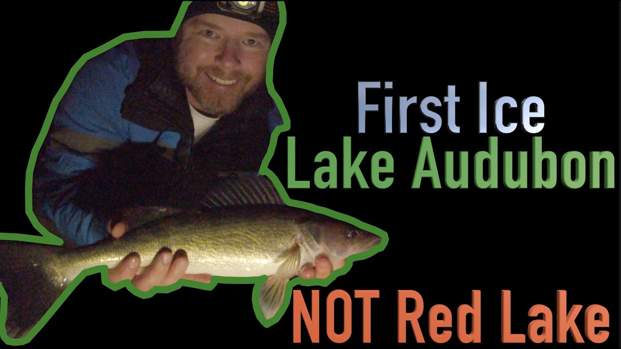 First Ice Walleye Lake Audubon NOT Red Lake
