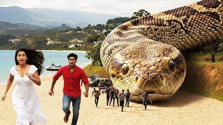 Anaconda Snake Attack On Girl In The Sea Anaconda Snake Attack Beach Anaconda