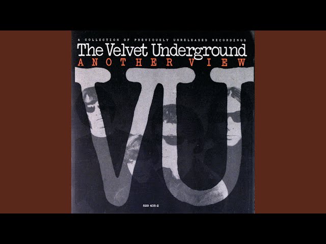 VELVET UNDERGROUND - Real good time together