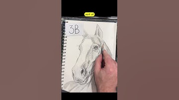 Drawing a horse’s head from start to finish.
