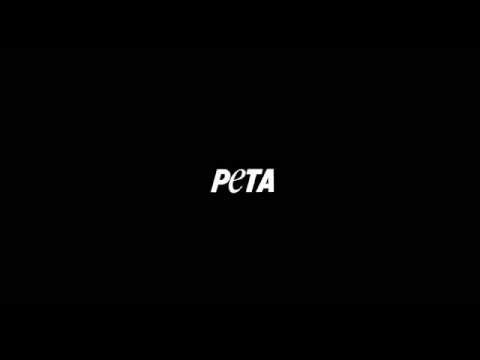 Vidéo: PETA Protesting Pony Rides