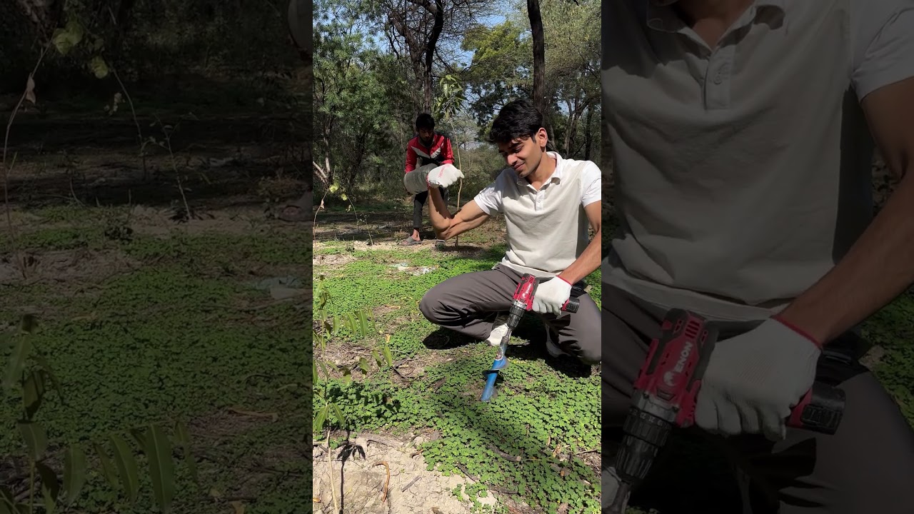 Planting One Million Trees 