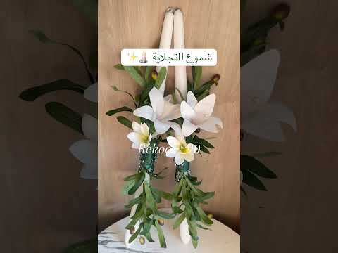 مسكة حنا شموع تجلاية  الهاشتاقات للرخوم فلسطين 