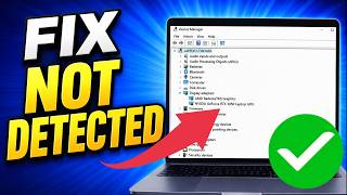 How To Fix Graphics Card Not Detected in Windows 11/10 (Laptop & PC)