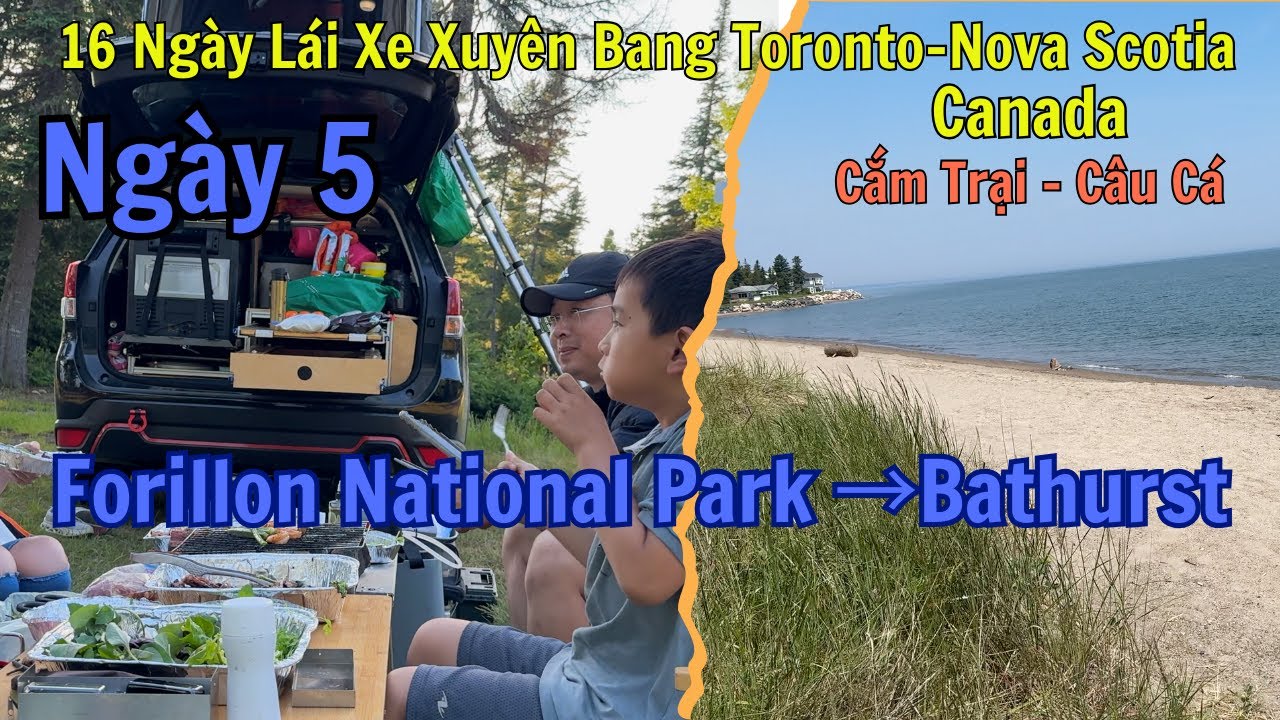Ngay 5  [4K]Forillon National Park →Bathurst/16 ngày lái xe cắm trại  xuyên bang Toronto-NovaScotia