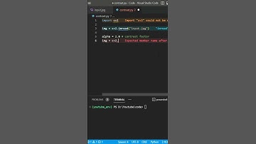 Image Contrast Adjustment using Python | OpenCV