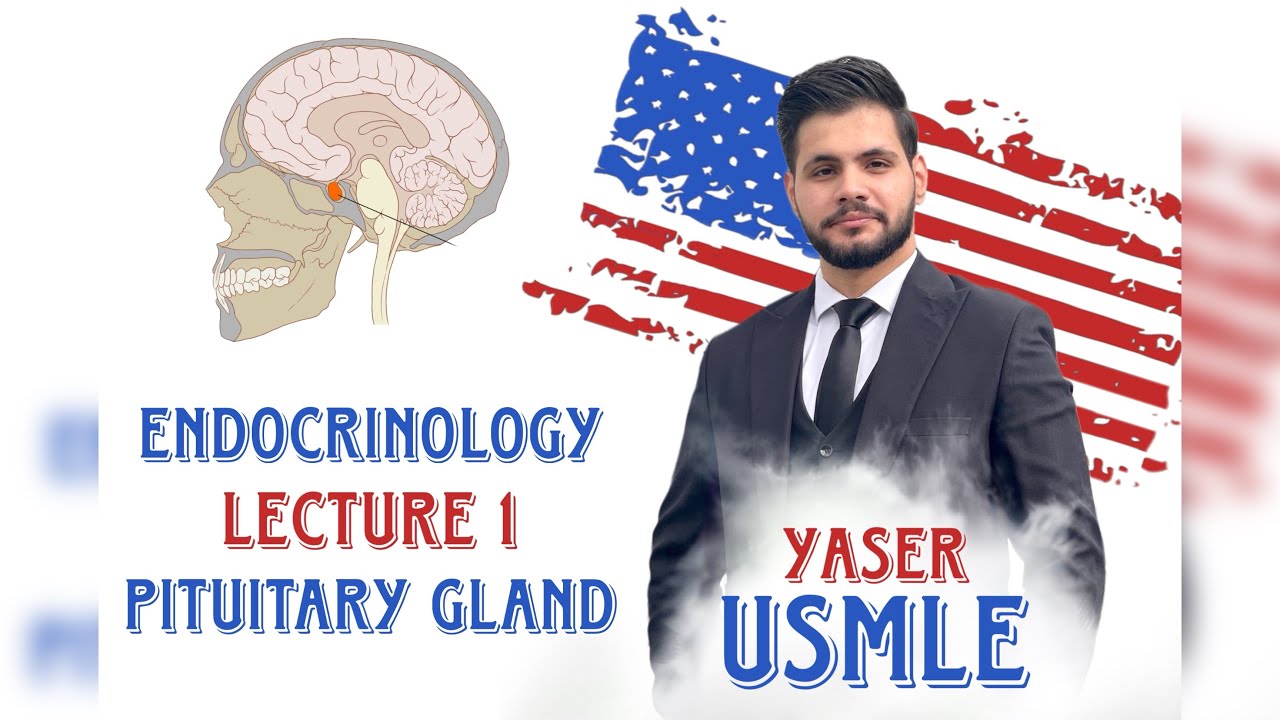 Endocrine Lecture 1 (Pituitary gland) USMLE Step1 , Dr Yaser - YouTube