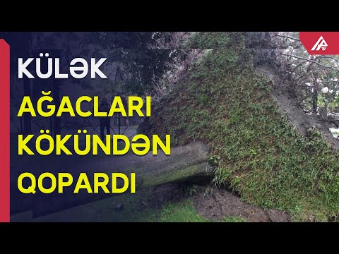 Güclü külək şimal-qərb