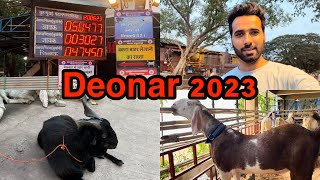 Chalte hai bakra lene Deonar 2023| Goats |ShezaanShaikh Bakri EID 2023