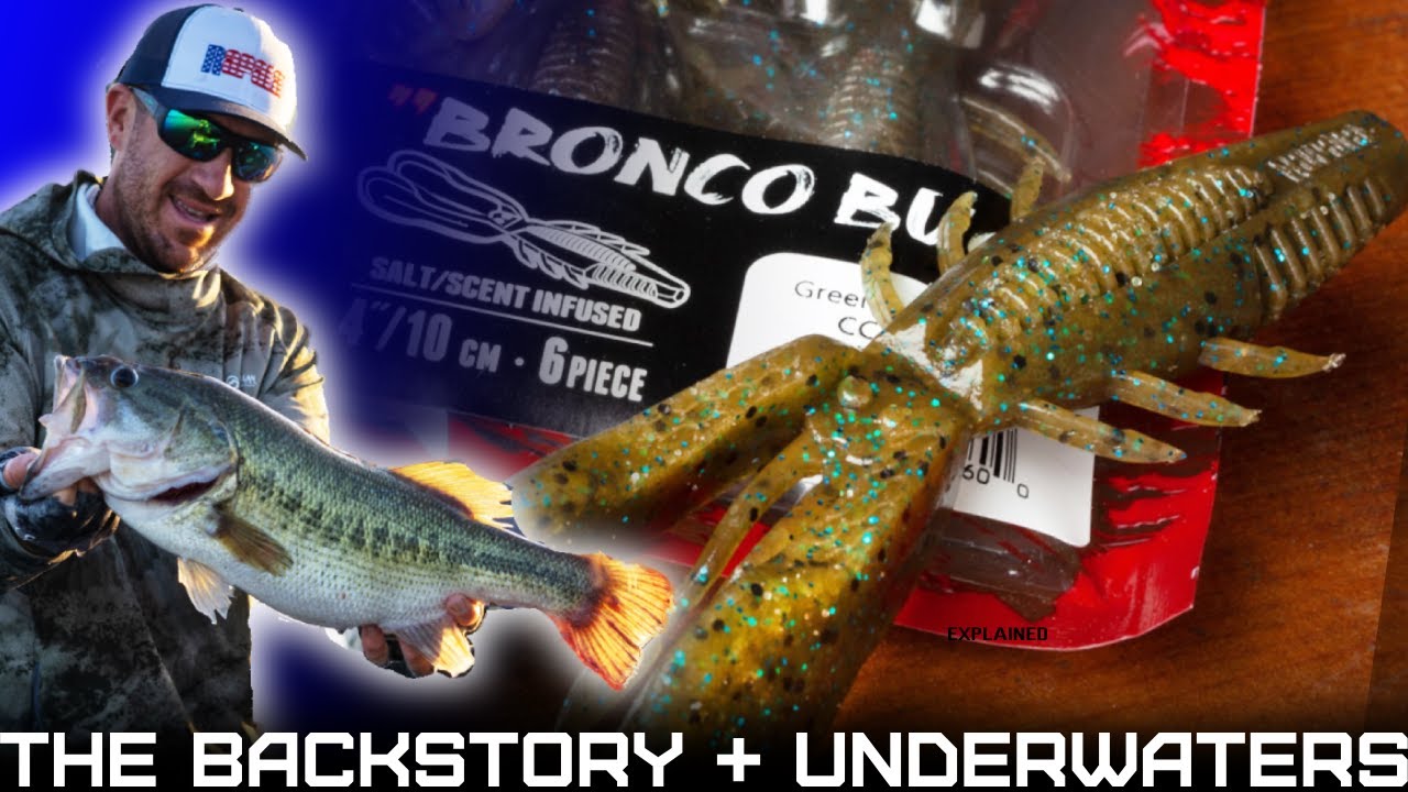 Rapala CrushCity Bronco Bug – Fishing Online