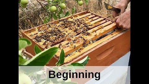Beginning Beekeeping Skills Promo Video