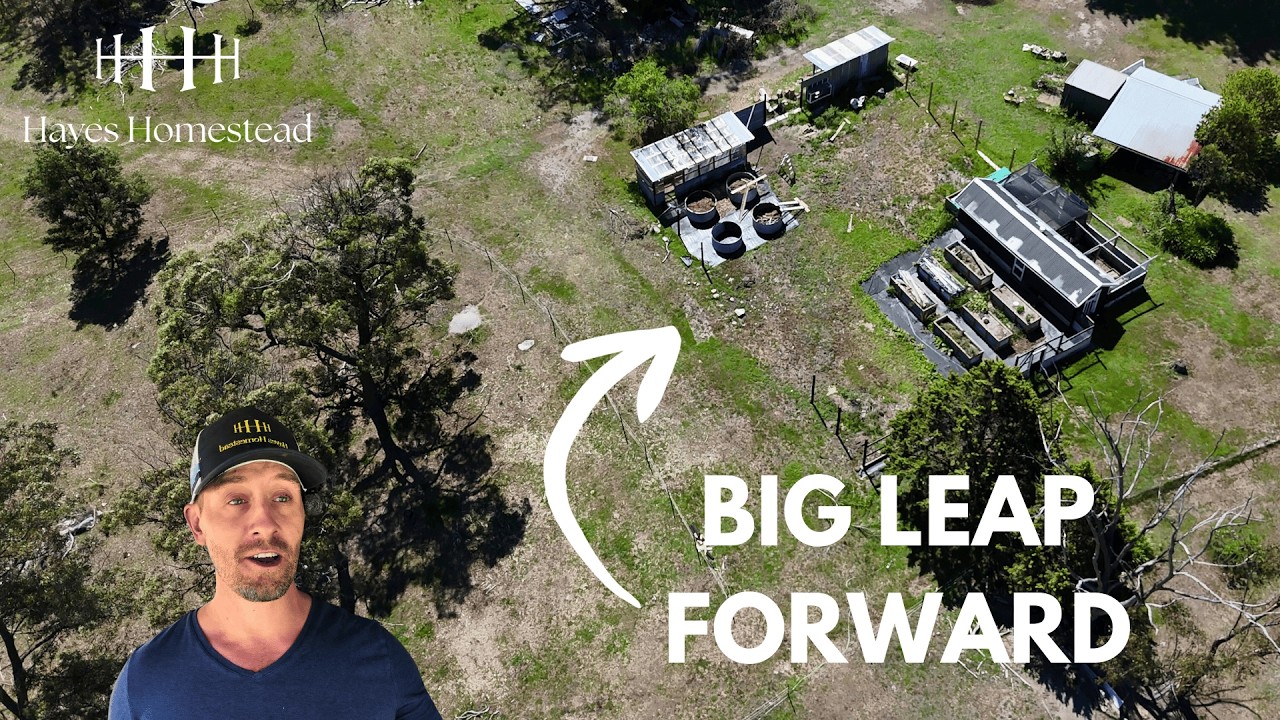 Реставрация старой двери и строительство теплицы на нашем австралийском участке.