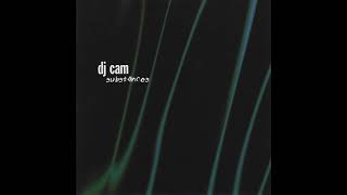 DJ Cam - Substances(Full Album) - YouTube