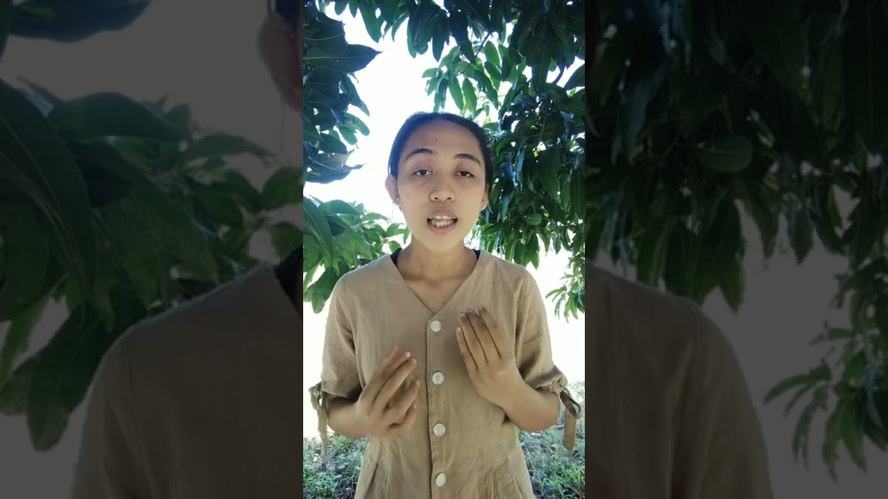 Barriers in Communication Extension